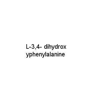 L-3,4- dihydroxyphenylalanine